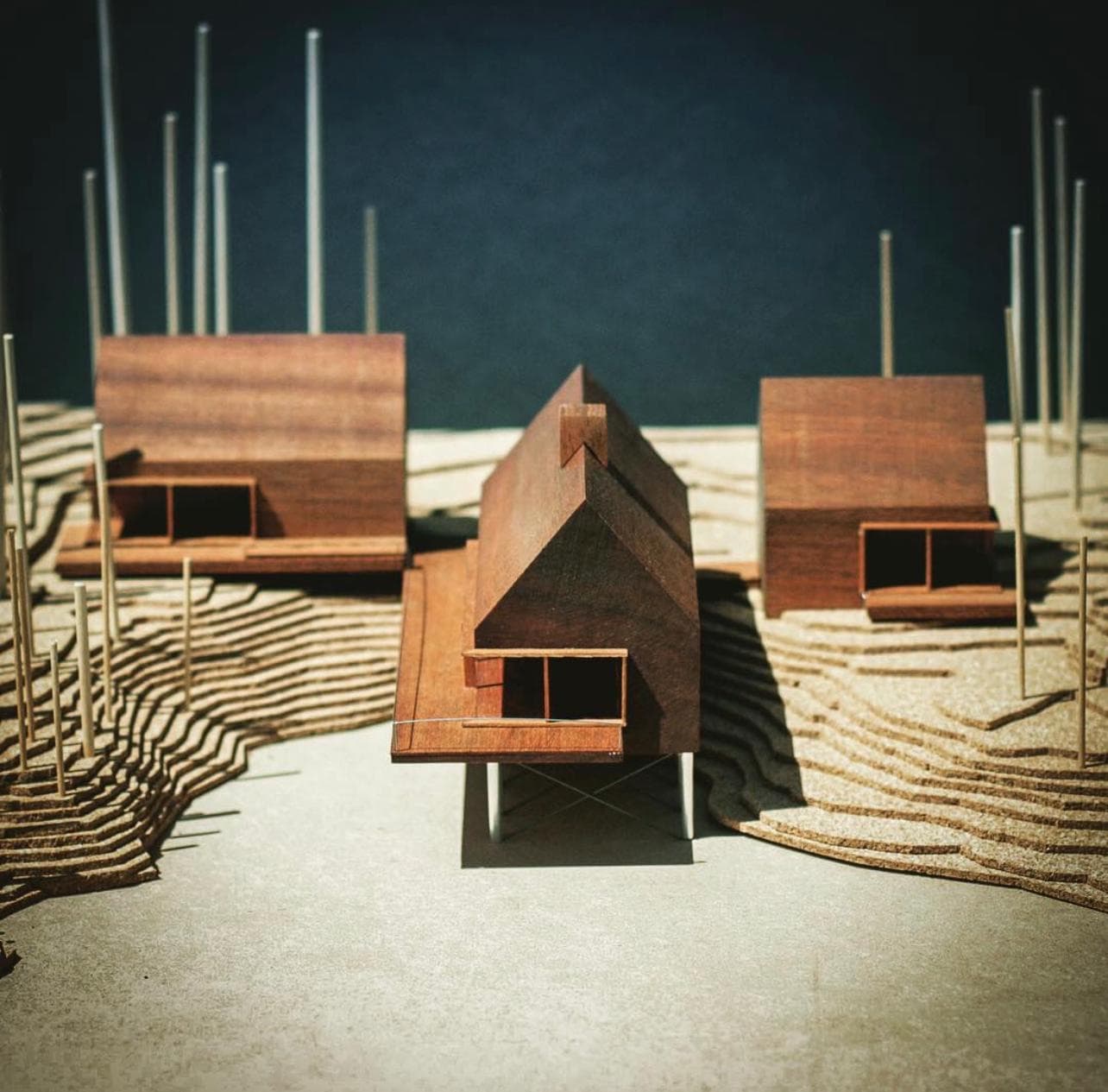 Study models — timber massing models arranged on a contour site base