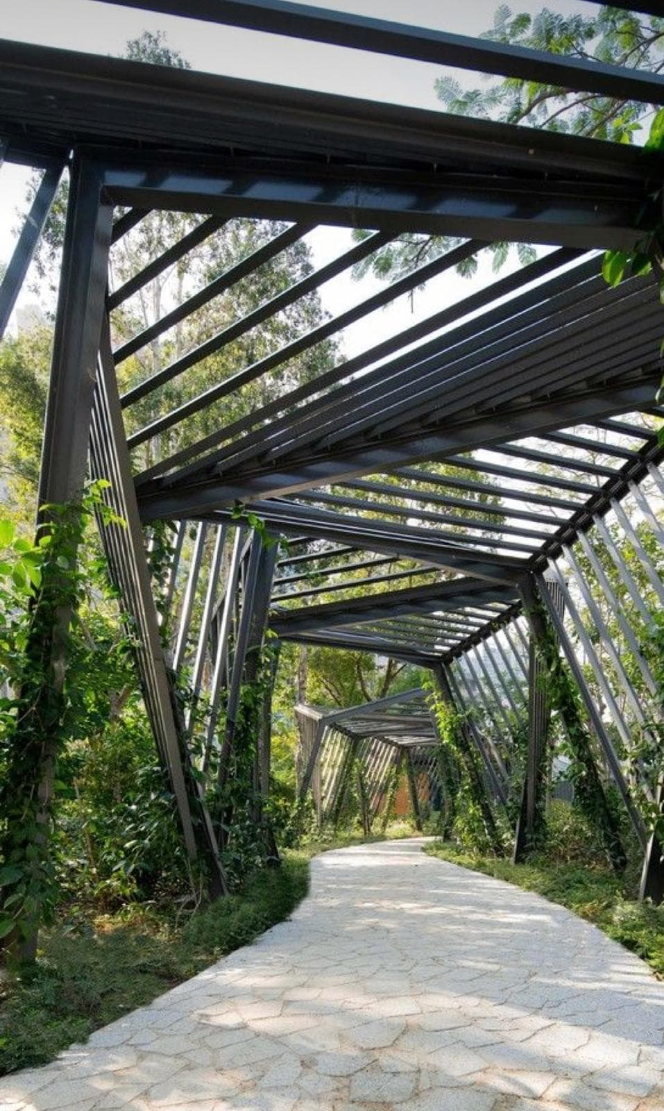 Observation — a steel pergola walkway threading through a planted garden path